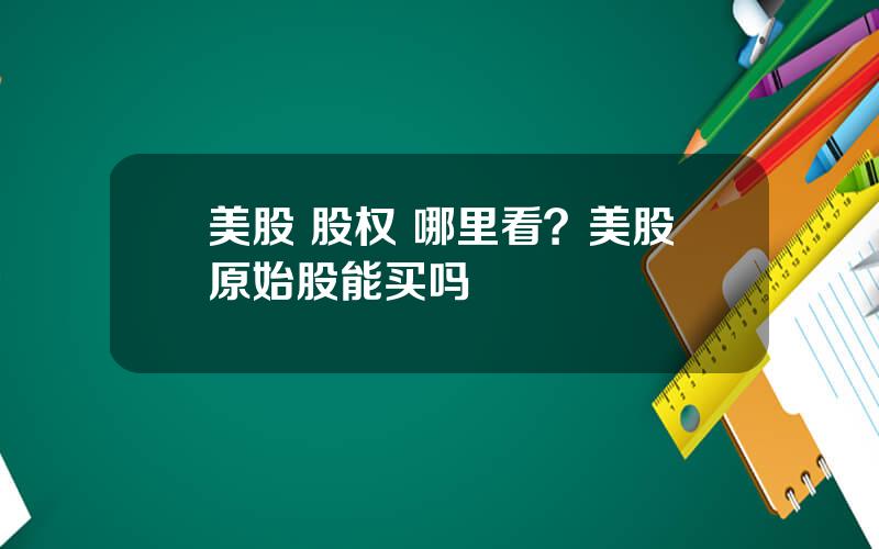 美股 股权 哪里看？美股原始股能买吗